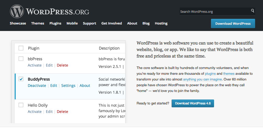 Download WordPress